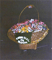 Carnival In Bloom - Jean and Phil Toogood