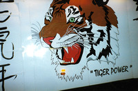 Tiger Power - Phoenix CC