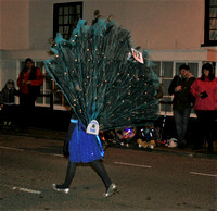 ??? Can Anyone Help With The Entrants Name? - Peacock Parade