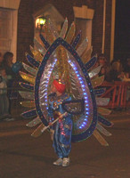 Wellington Carnival 2008