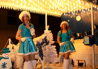 Honiton Christmas Carnival 2012