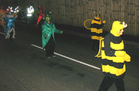 Castle Cary Carnival 2008
