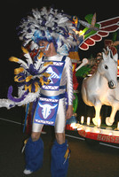 Bridgwater Carnival 2007