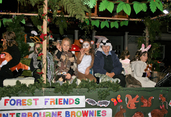 Forest Friends – 2nd Winterbourne Brownies