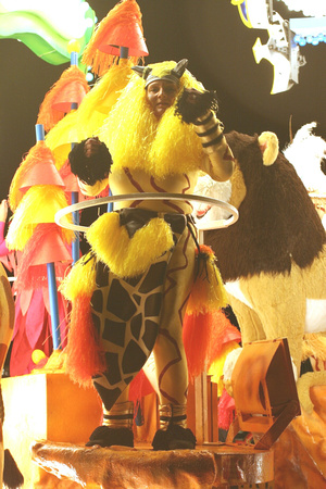 Festival Of The Lion King - Harlequin CC