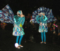 Warminster Carnival 2007