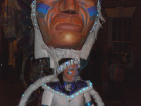 Wellington Carnival 2009